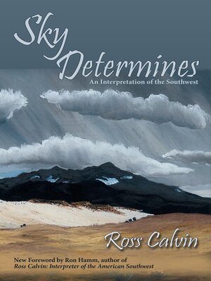 cover image of Sky Determines
